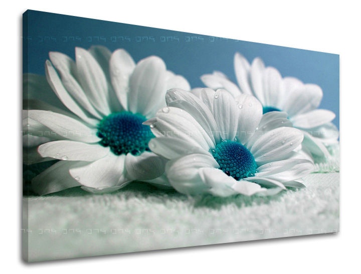 E-shop Obraz na stenu KVETY XOBKV126E11 - 20x30 cm