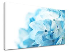 E-shop Obraz na stenu KVETY Zľava 60 % 60x90 cm