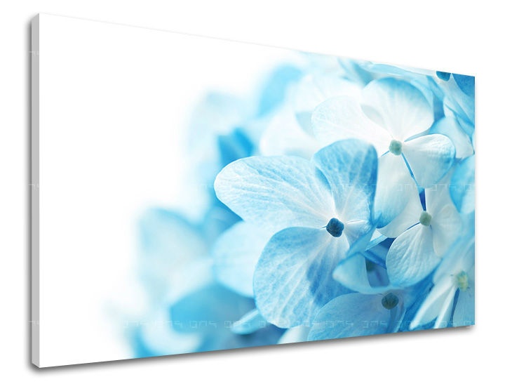 E-shop Obraz na stenu KVETY XOBKV127E11 - 30x40 cm