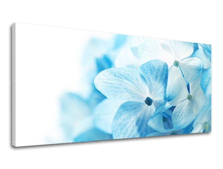 Levně Nástěnná malba Panorama KVĚTINY XOBKV127E13