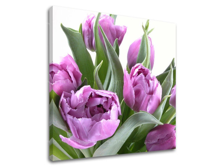 Levně Nástěnná malba KVĚTINY XOBKV131E12