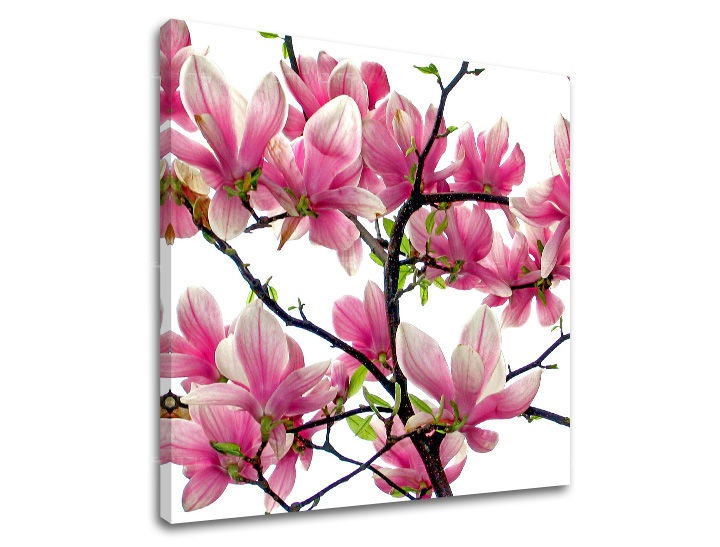 E-shop Obraz na stenu KVETY XOBKV132E12 - 60x60 cm