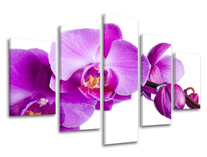 E-shop Obraz na stenu 5 dielny KVETY XOBKV135E50 - 100x80 cm