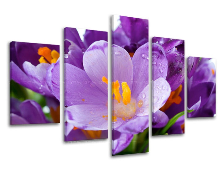E-shop Obraz na stenu 5 dielny KVETY XOBKV137E50 - 150x100 cm