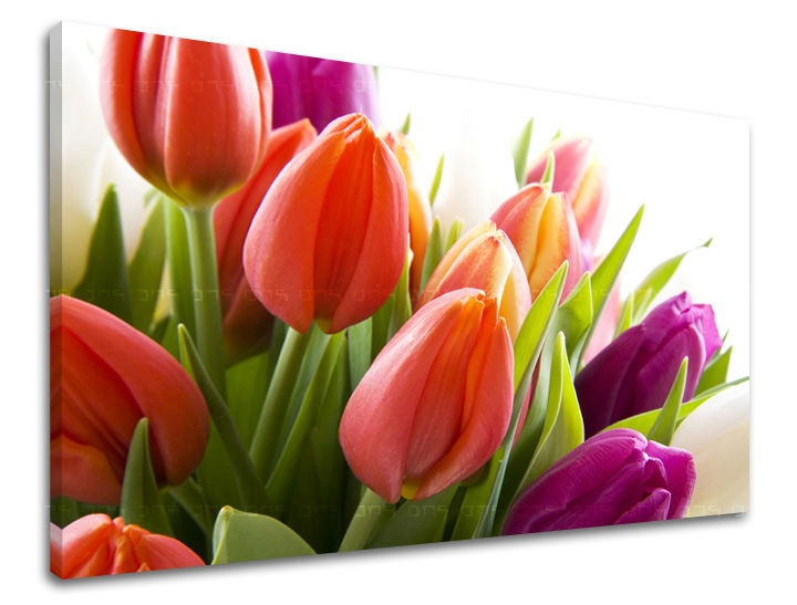 Levně Nástěnná malba KVĚTINY TULIPÁNY XOBKV138E11