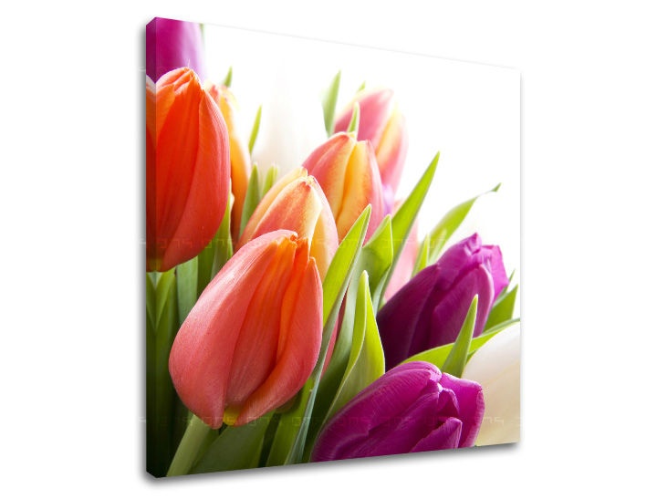 E-shop Obraz na stenu KVETY XOBKV138E12 - 40x40 cm