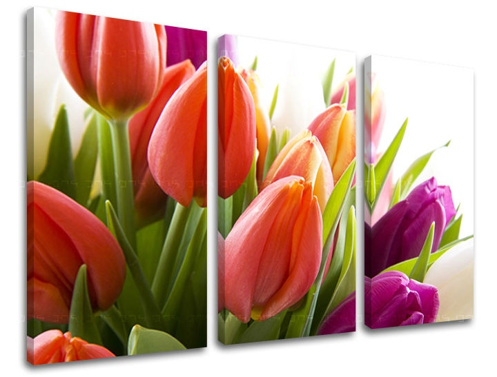 E-shop Obraz na stenu 3 dielny KVETY XOBKV138E30 - 120x80 cm