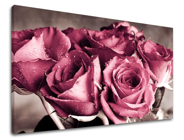 E-shop Obraz na stenu KVETY RUŽE XOBKV139E11 - 60x90 cm