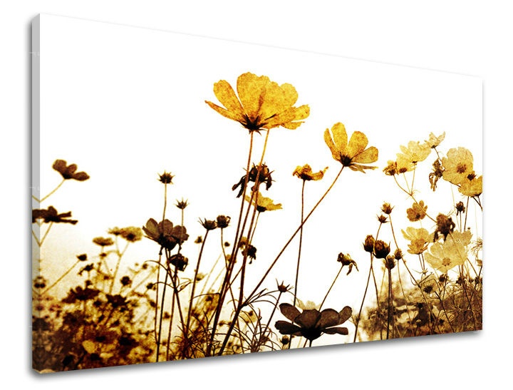 E-shop Obraz na stenu KVETY XOBKV143E11 - 100x150 cm