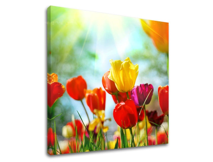 E-shop Obraz na stenu KVETY XOBKV145E12 - 30x30 cm