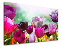 Levně Nástěnný obraz KVĚTY TULIPÁNY 60x90 cm