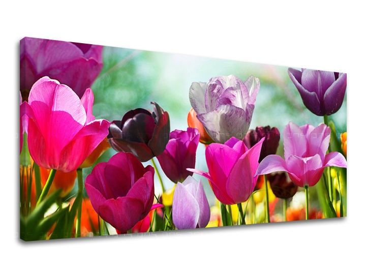 E-shop Obraz na stenu Panoráma KVETY XOBKV148E13 - 60x120 cm