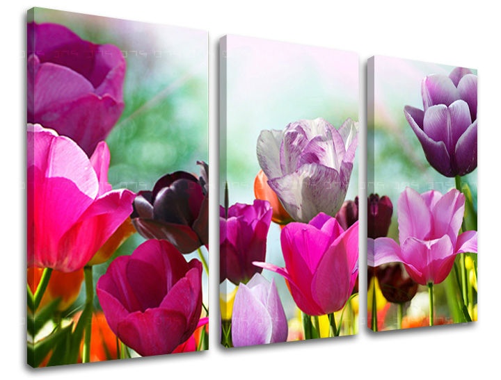 E-shop Obraz na stenu 3 dielny KVETY XOBKV148E30 - 60x40 cm