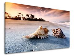 E-shop Obraz na stenu PLÁŽ 40x60 cm