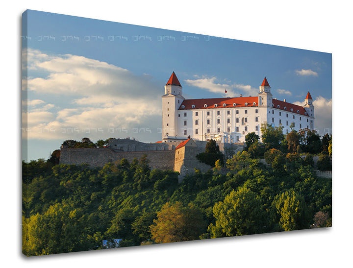 Levně Nástěnná malba SLOVENSKO SK003E11