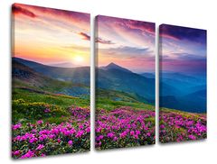 E-shop Obraz na stenu SLOVENSKO XOBSK031E30 120x80 cm