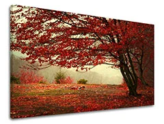 E-shop Obraz na stenu STROMY Zľava 60 % 40x60 cm