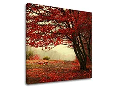 Levně Nástěnná malba STROMY Sleva 60 % 50X50 cm