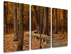 E-shop Obraz na stenu STROMY 120x80 cm