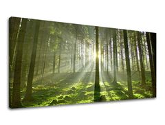 E-shop Obraz na stenu PANORÁMA STROMY Zľava 60 % 50x100 cm
