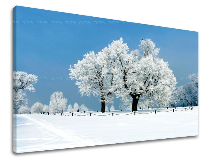 E-shop Obraz na stenu STROMY ST028E11