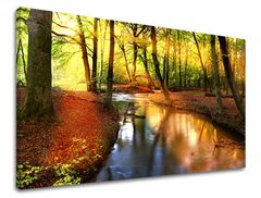 E-shop Obraz na stenu STROMY 40x60 cm