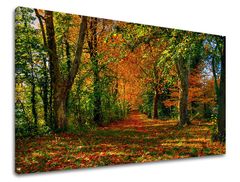E-shop Obraz na stenu STROMY Zľava 60 % 60x90 cm