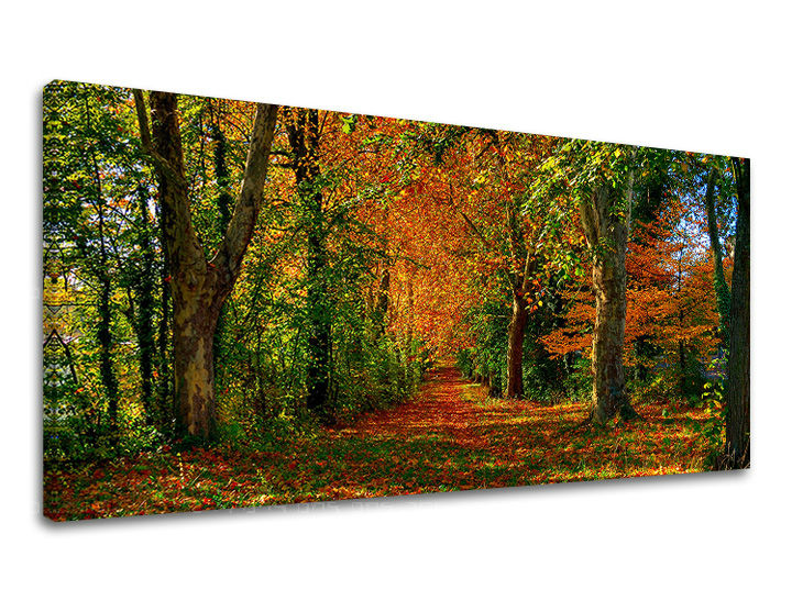 E-shop Obraz na stenu PANORÁMA STROMY 60x120 cm