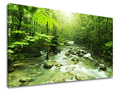 E-shop Obraz na stenu STROMY Zľava 60 % 150x100 cm