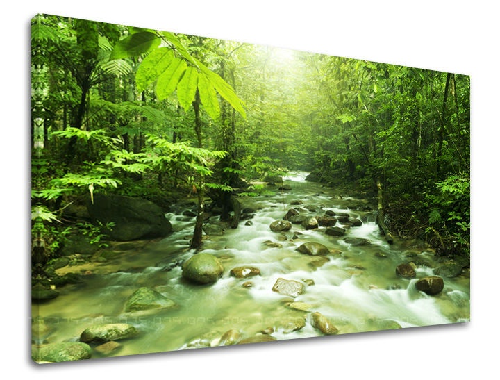 E-shop Obraz na stenu STROMY ST034E11