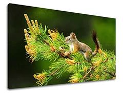 Levně Nástěnná malba ZVÍŘATA Sleva 60 % 20X30 cm