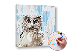 E-shop Maľovanie podľa čísel MUDRA Owl