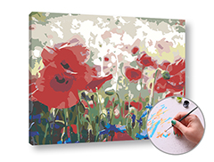 E-shop Maľovanie podľa čísel ABSTRACT WILD MAKES